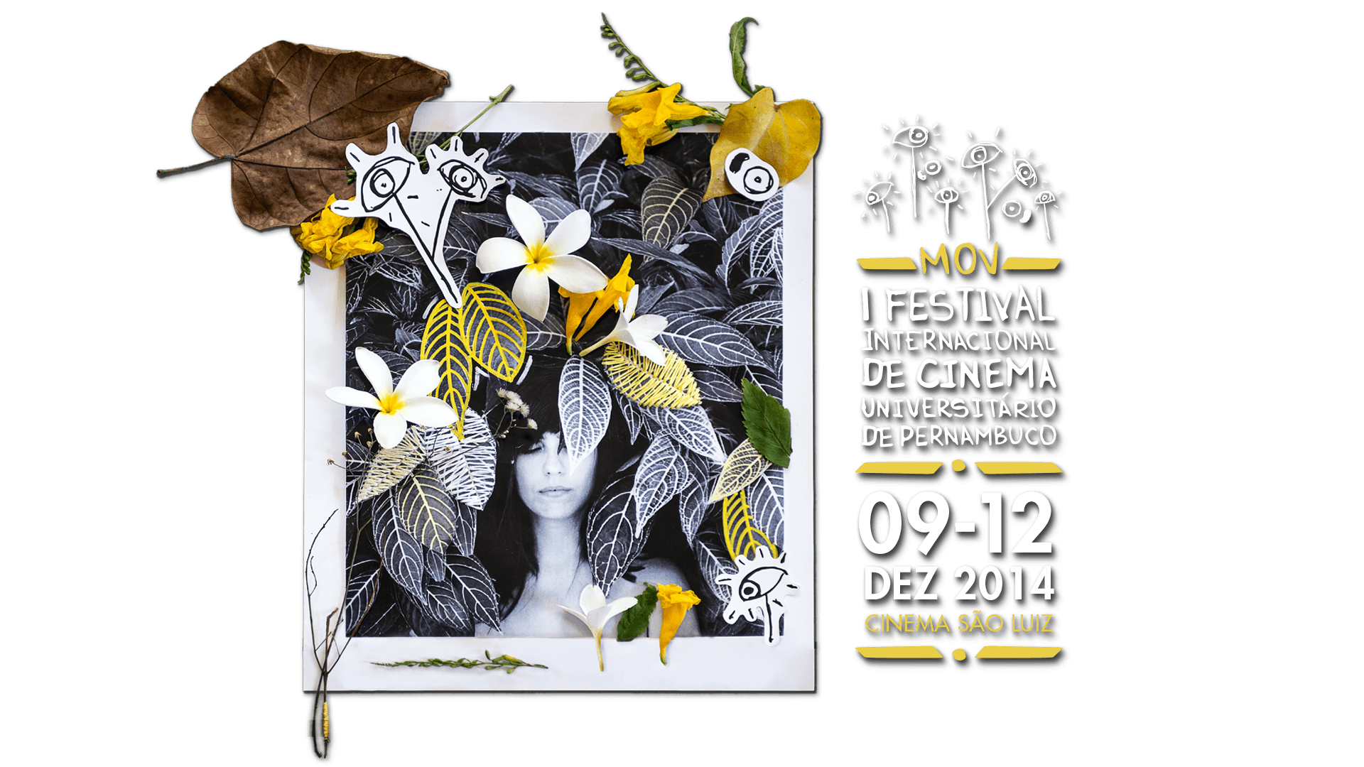 Festival Internacional de Cinema universitário de Pernambuco
